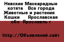 Невские Маскарадные котята - Все города Животные и растения » Кошки   . Ярославская обл.,Ярославль г.